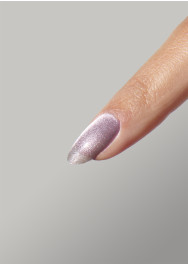 The Energy Collection